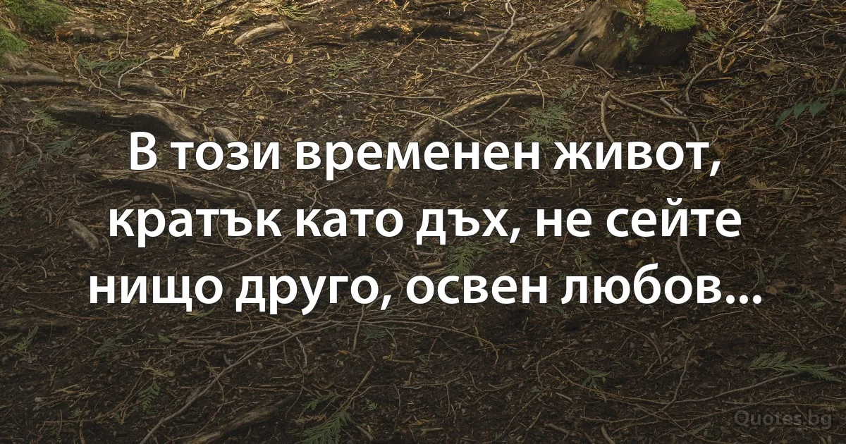 В този временен живот, кратък като дъх, не сейте нищо друго, освен любов. (INZ BG)