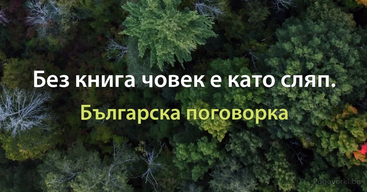 Без книга човек е като сляп. (Българска поговорка)