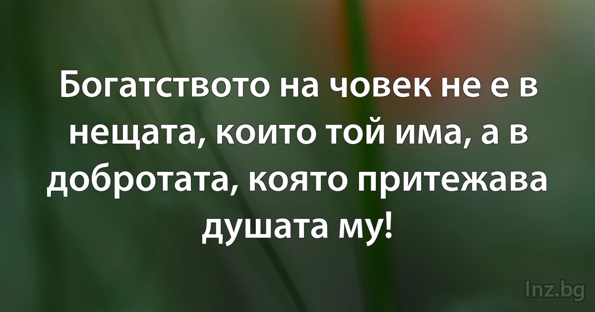 Богатството на човек не е в нещата, които той има, а в добротата, която притежава душата му! (INZ BG)