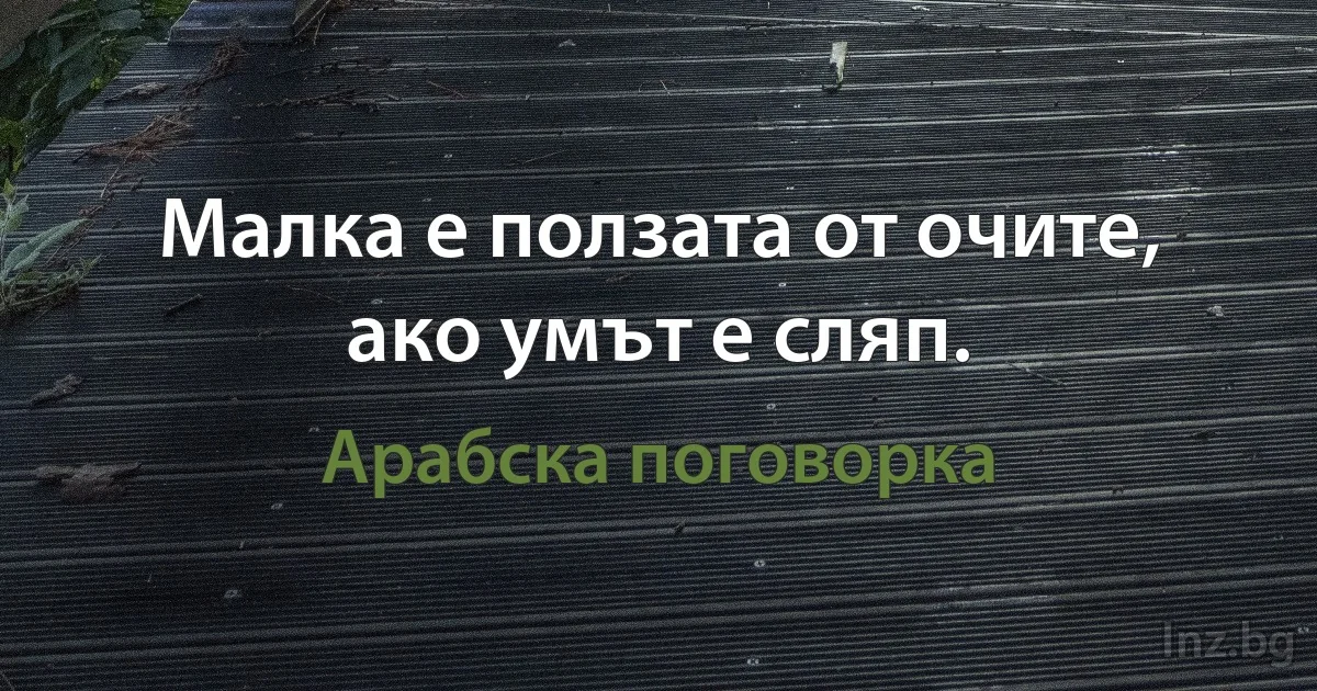 Малка е ползата от очите, ако умът е сляп. (Арабска поговорка)