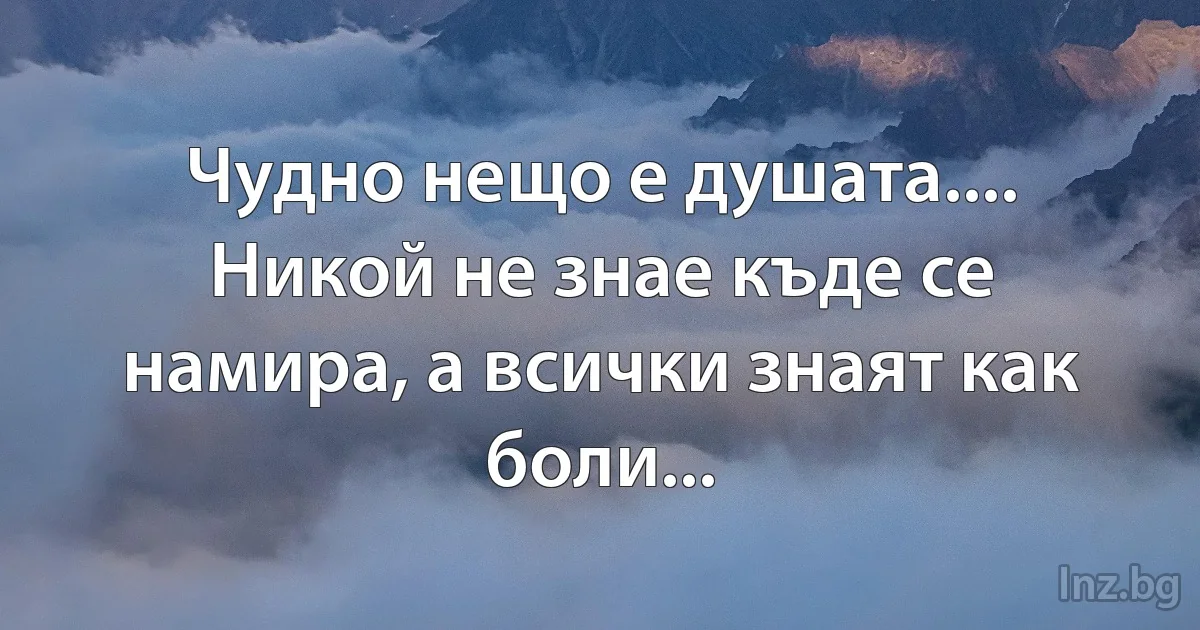 Чудно нещо е душата....
Никой не знае къде се намира, а всички знаят как боли... (INZ BG)