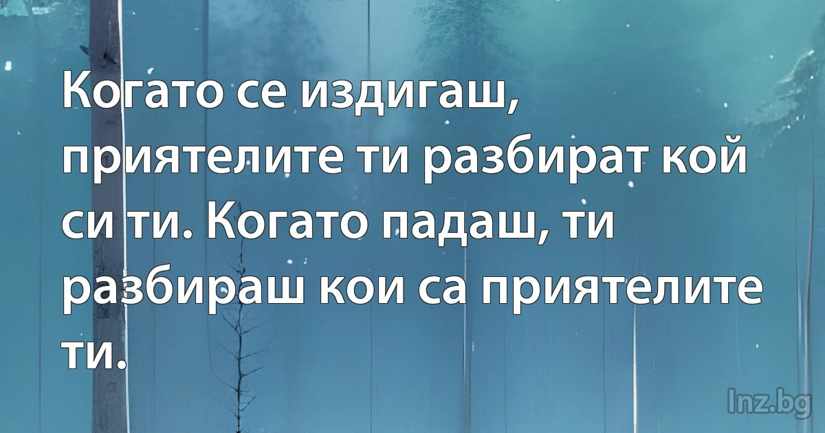 Когато се издигаш, приятелите ти разбират кой си ти. Когато падаш, ти разбираш кои са приятелите ти. (INZ BG)