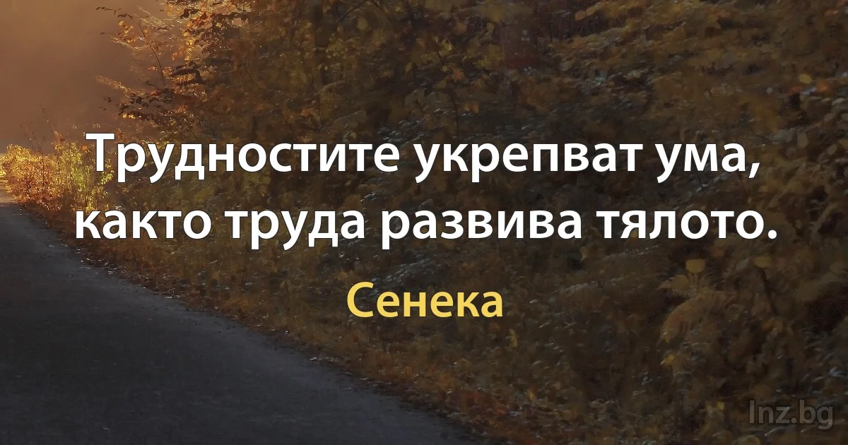 Трудностите укрепват ума, както труда развива тялото. (Сенека)