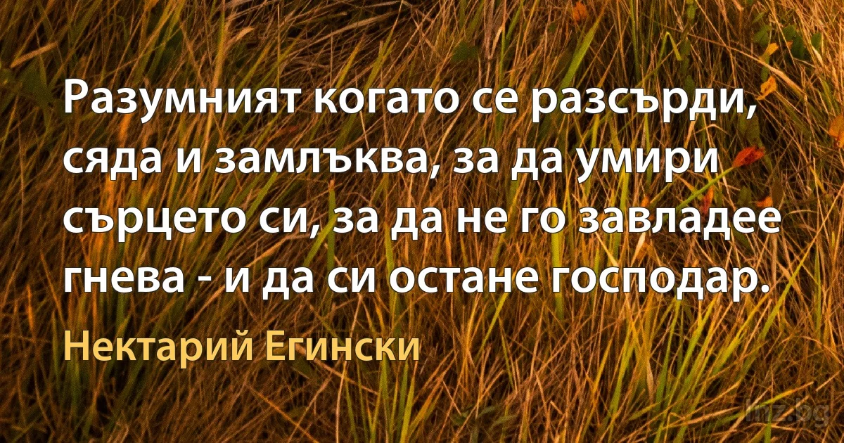 Разумният когато се разсърди, сяда и замлъква, за да умири сърцето си, за да не го завладее гнева - и да си остане господар. (Нектарий Егински)