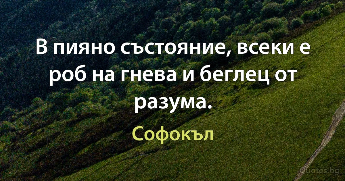 В пияно състояние, всеки е роб на гнева и беглец от разума. (Софокъл)