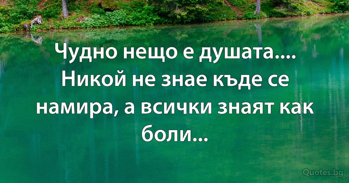 Чудно нещо е душата....
Никой не знае къде се намира, а всички знаят как боли... (INZ BG)
