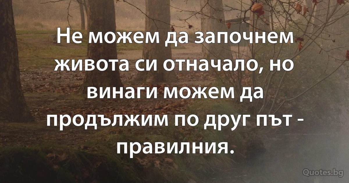 Не можем да започнем живота си отначало, но винаги можем да продължим по друг път - правилния. (INZ BG)