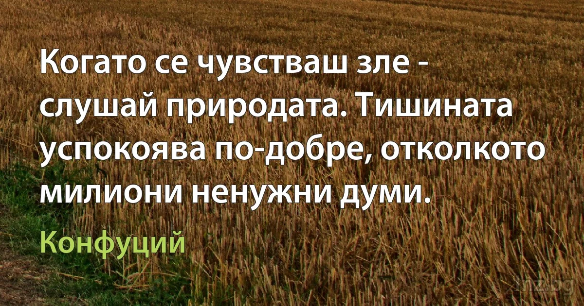 Когато се чувстваш зле - слушай природата. Тишината успокоява по-добре, отколкото милиони ненужни думи. (Конфуций)