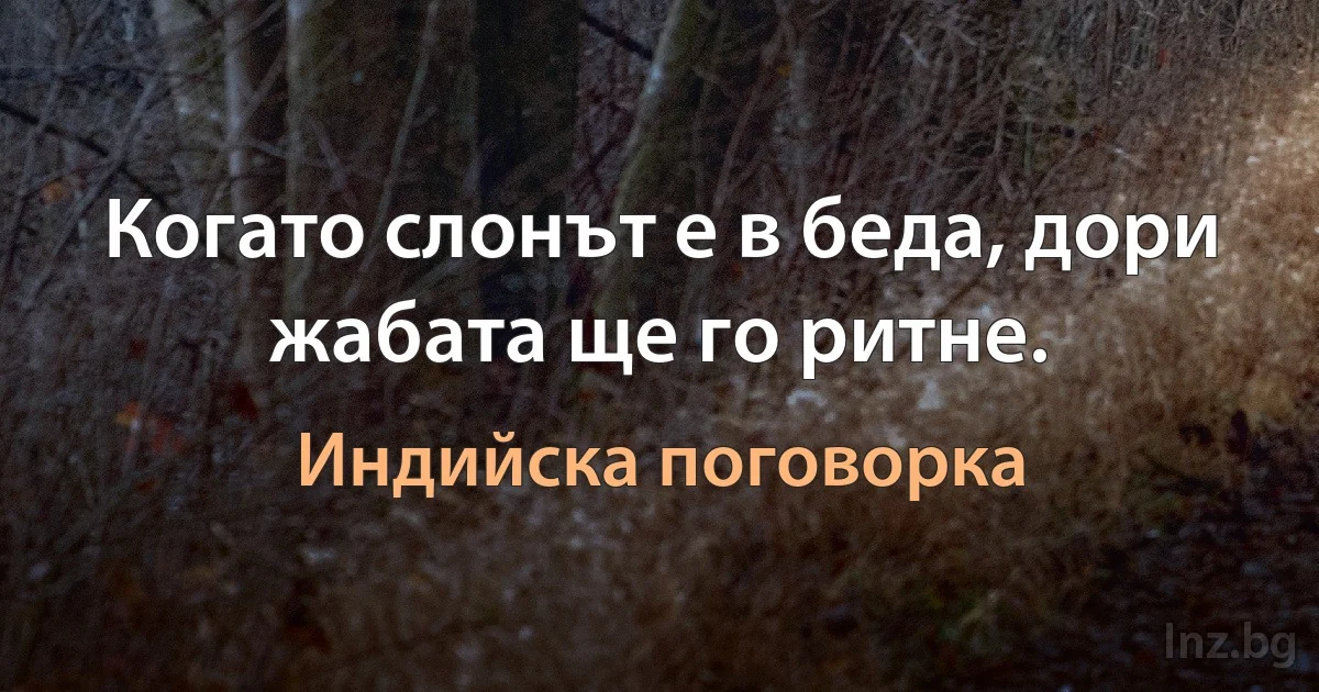 Когато слонът е в беда, дори жабата ще го ритне. (Индийска поговорка)