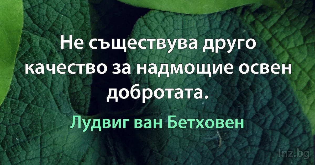 Не съществува друго качество за надмощие освен добротата. (Лудвиг ван Бетховен)