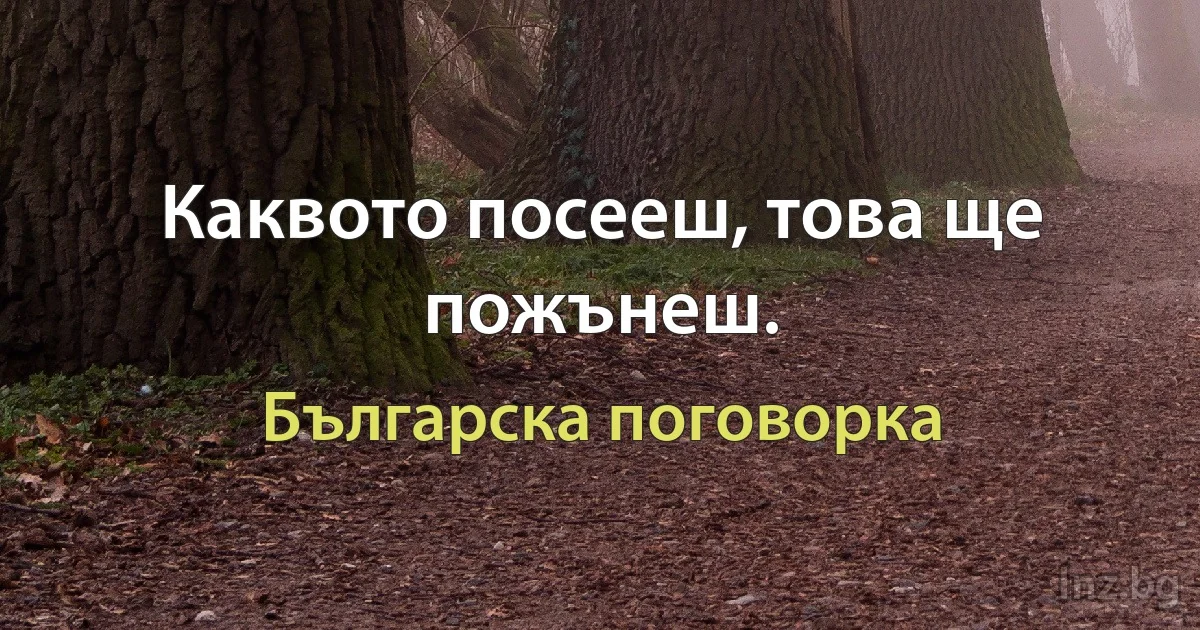 Каквото посееш, това ще пожънеш. (Българска поговорка)