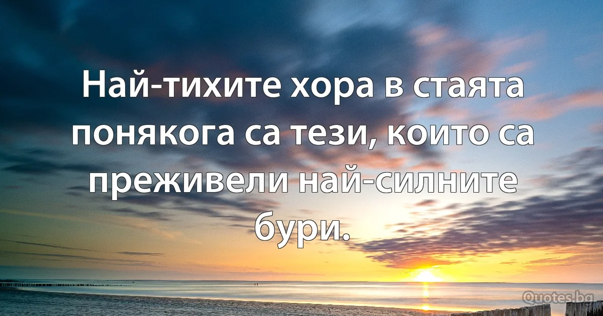 Най-тихите хора в стаята понякога са тези, които са преживели най-силните бури. (INZ BG)