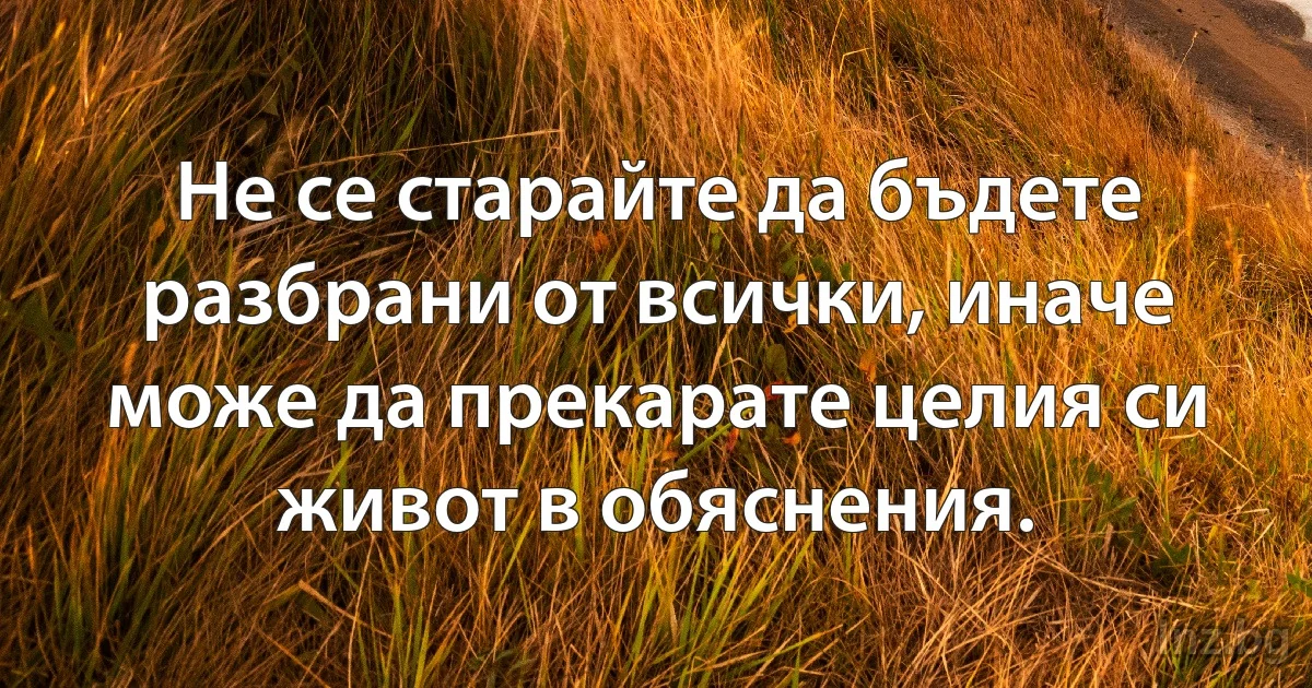 Не се старайте да бъдете разбрани от всички, иначе може да прекарате целия си живот в обяснения. (INZ BG)