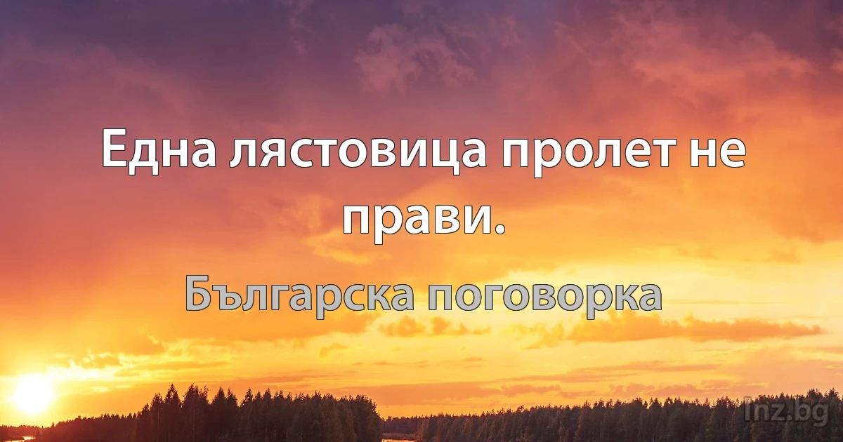 Една лястовица пролет не прави. (Българска поговорка)