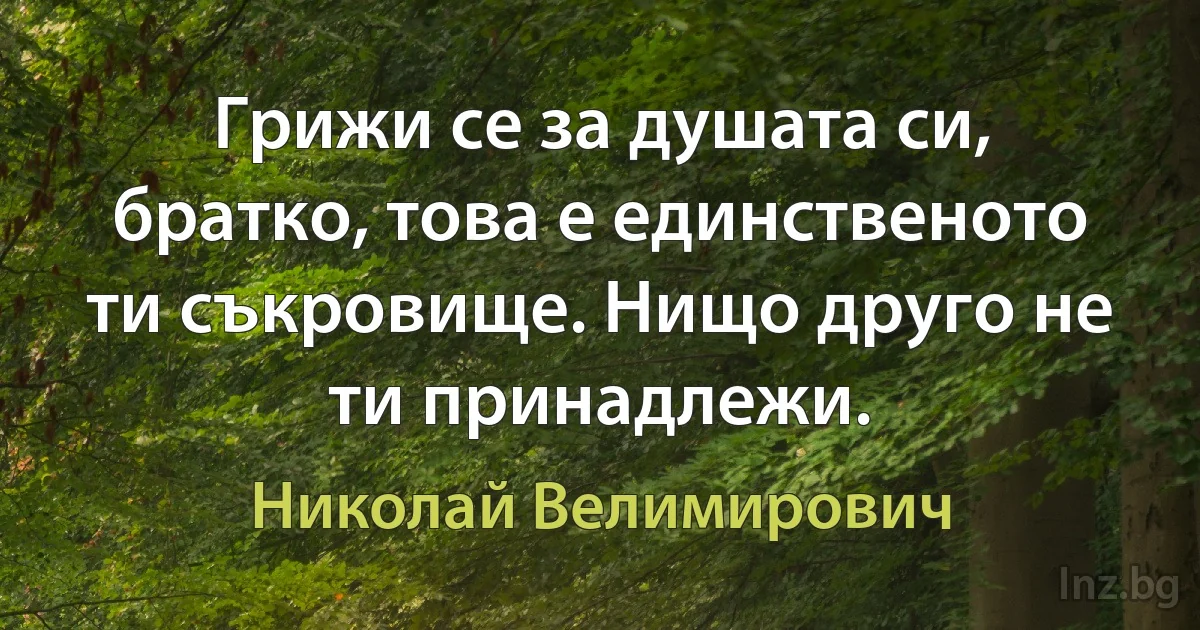 Грижи се за душата си, братко, това е единственото ти съкровище. Нищо друго не ти принадлежи. (Николай Велимирович)