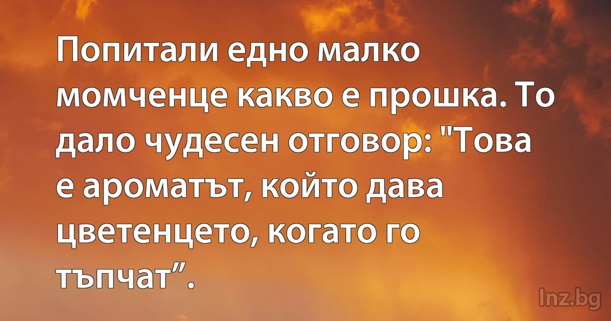 Попитали едно малко момченце какво е прошка. То дало чудесен отговор: "Това е ароматът, който дава цветенцето, когато го тъпчат”. (INZ BG)