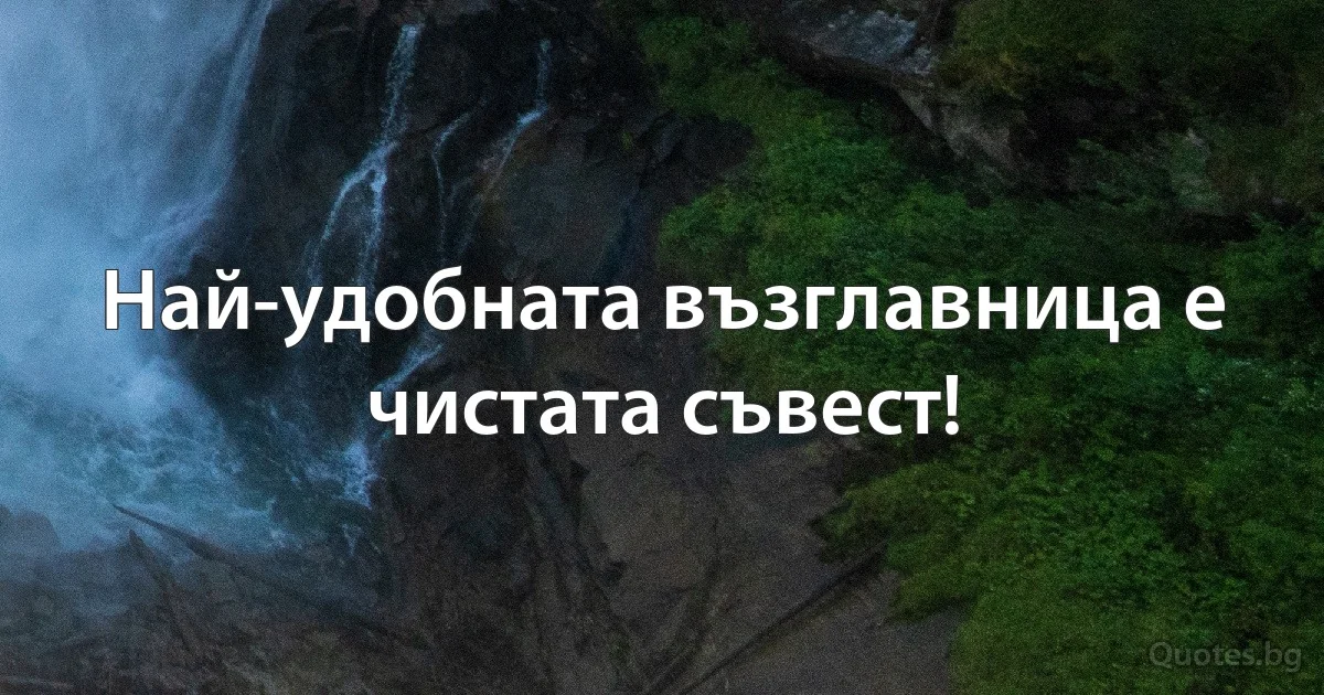 Най-удобната възглавница е чистата съвест! (INZ BG)