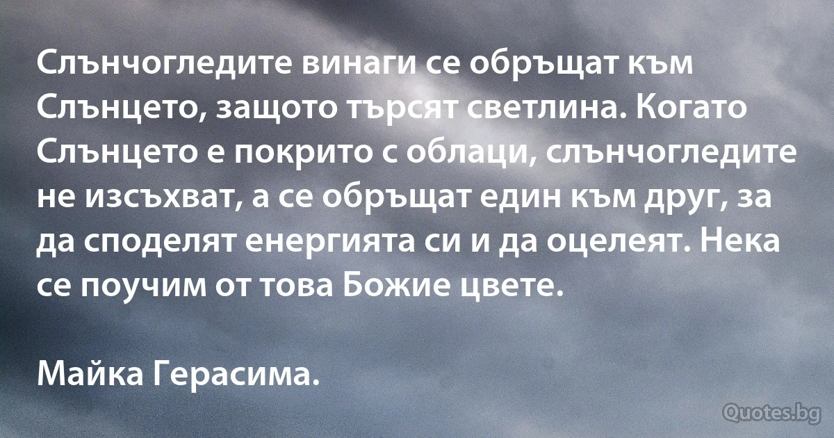 Слънчогледите винаги се обръщат към Слънцето, защото търсят светлина. Когато Слънцето е покрито с облаци, слънчогледите не изсъхват, а се обръщат един към друг, за да споделят енергията си и да оцелеят. Нека се поучим от това Божие цвете.

Майка Герасима. (INZ BG)