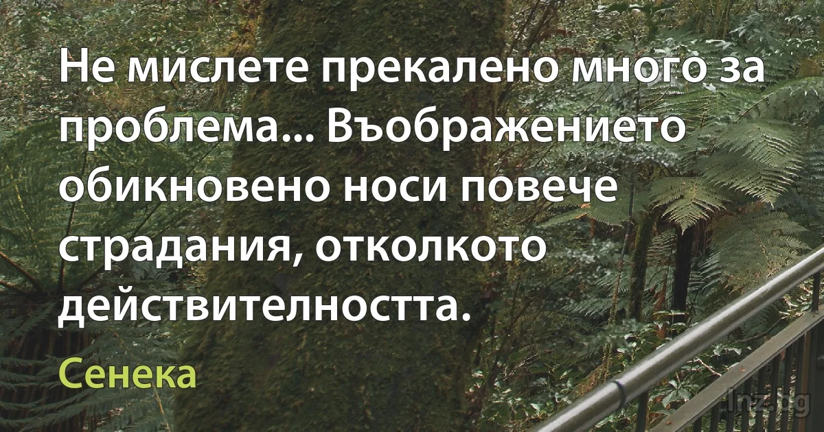 Не мислете прекалено много за проблема... Въображението обикновено носи повече страдания, отколкото действителността. (Сенека)