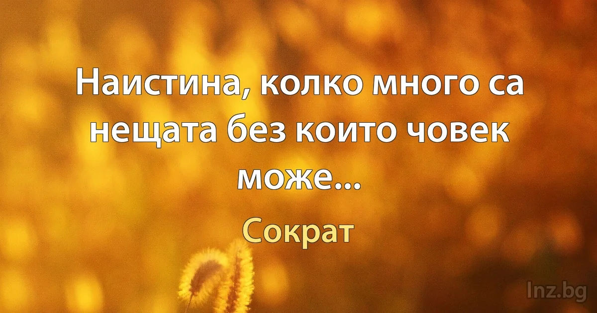 Наистина, колко много са нещата без които човек може... (Сократ)