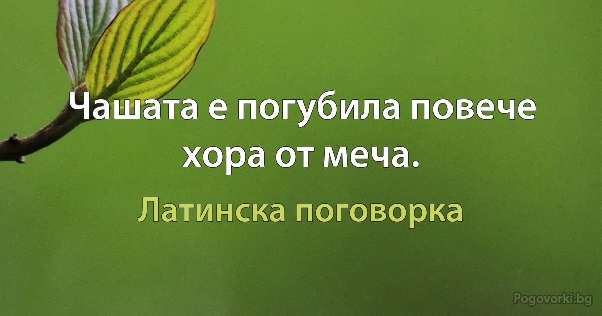 Чашата е погубила повече хора от меча. (Латинска поговорка)