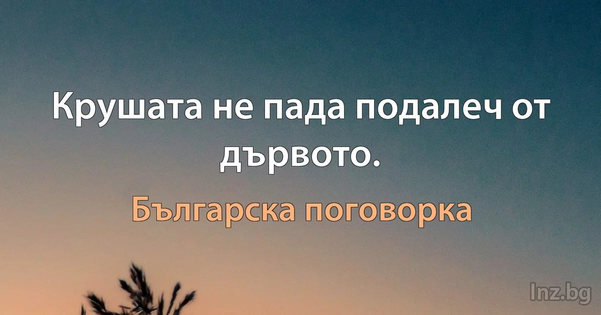 Крушата не пада подалеч от дървото. (Българска поговорка)