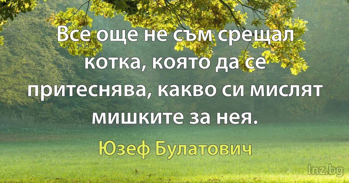 Все още не съм срещал котка, която да се притеснява, какво си мислят мишките за нея. (Юзеф Булатович)