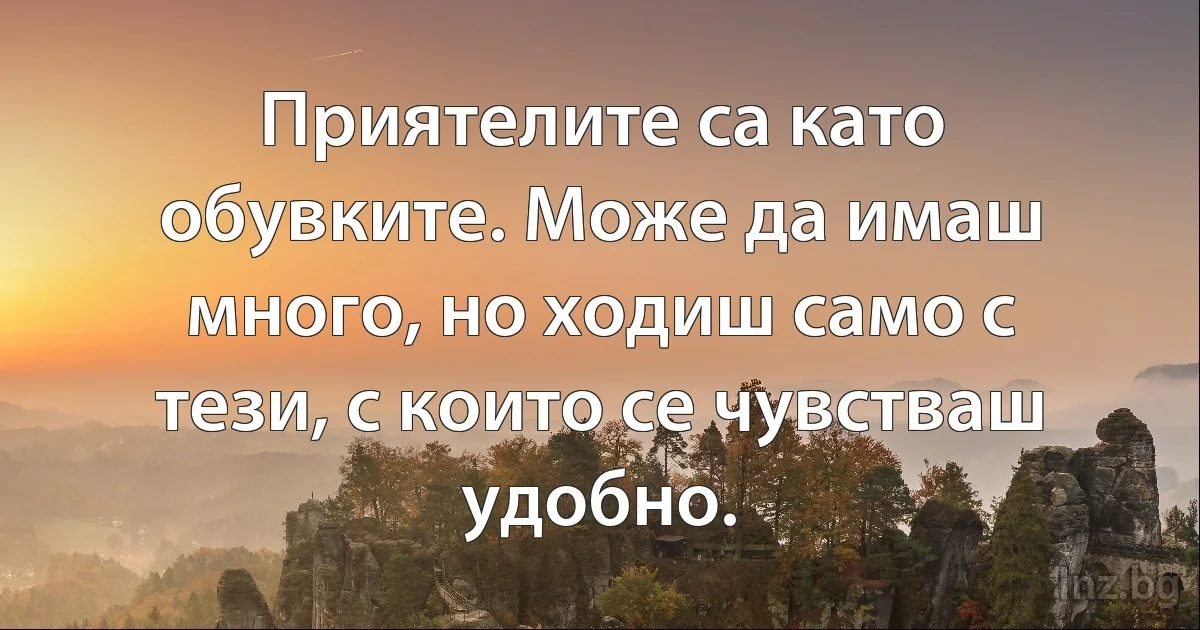 Приятелите са като обувките. Може да имаш много, но ходиш само с тези, с които се чувстваш удобно. (INZ BG)